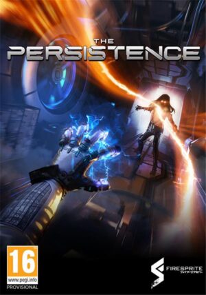 The Persistence