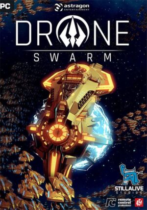 Drone Swarm