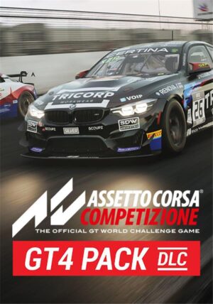 Assetto Corsa Competizione GT4 Pack